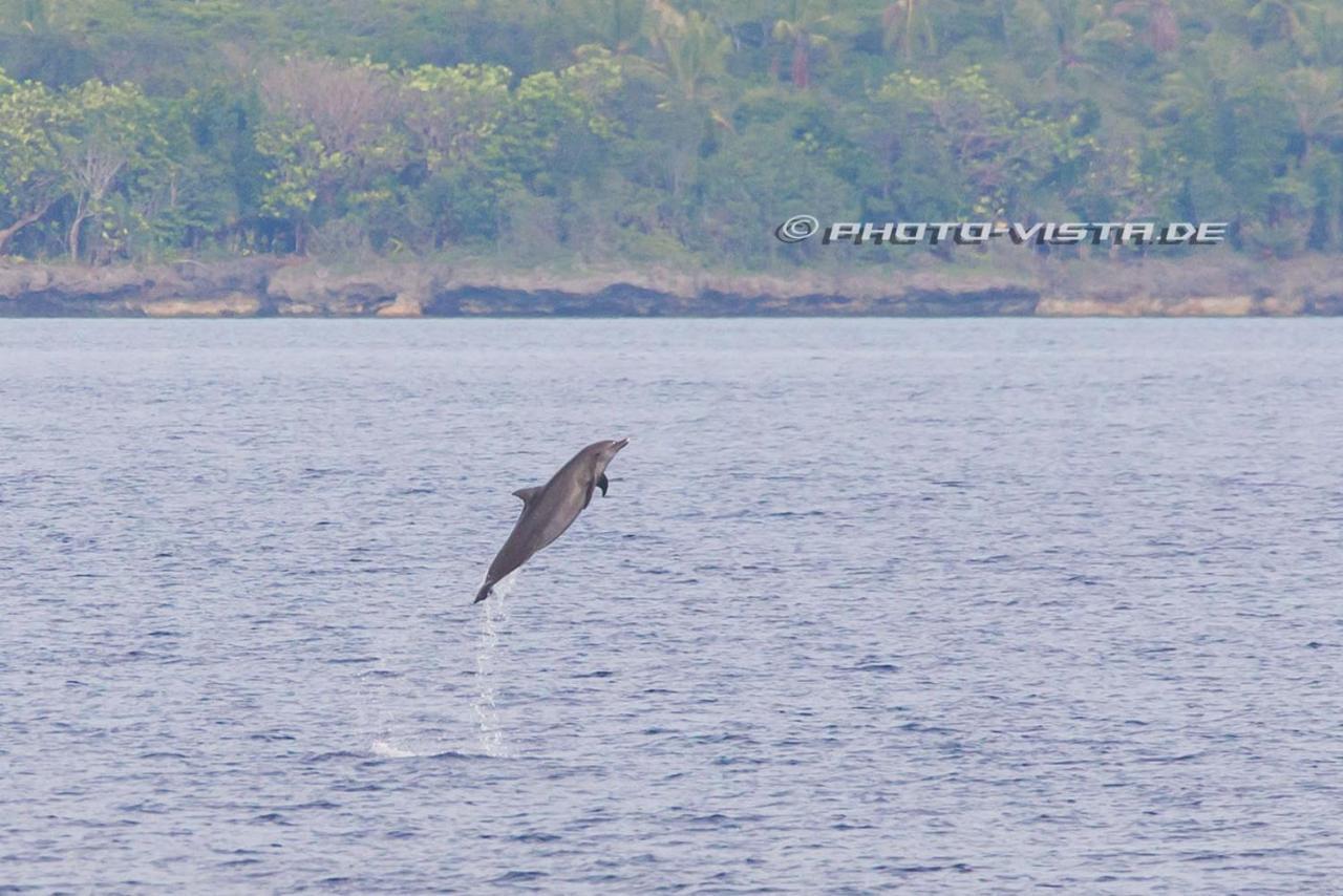Camotes Eden Hotel Himensulan ภายนอก รูปภาพ